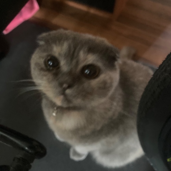 Meet your Posher, Karen - Picture 2 of 2